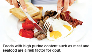 High purine foods